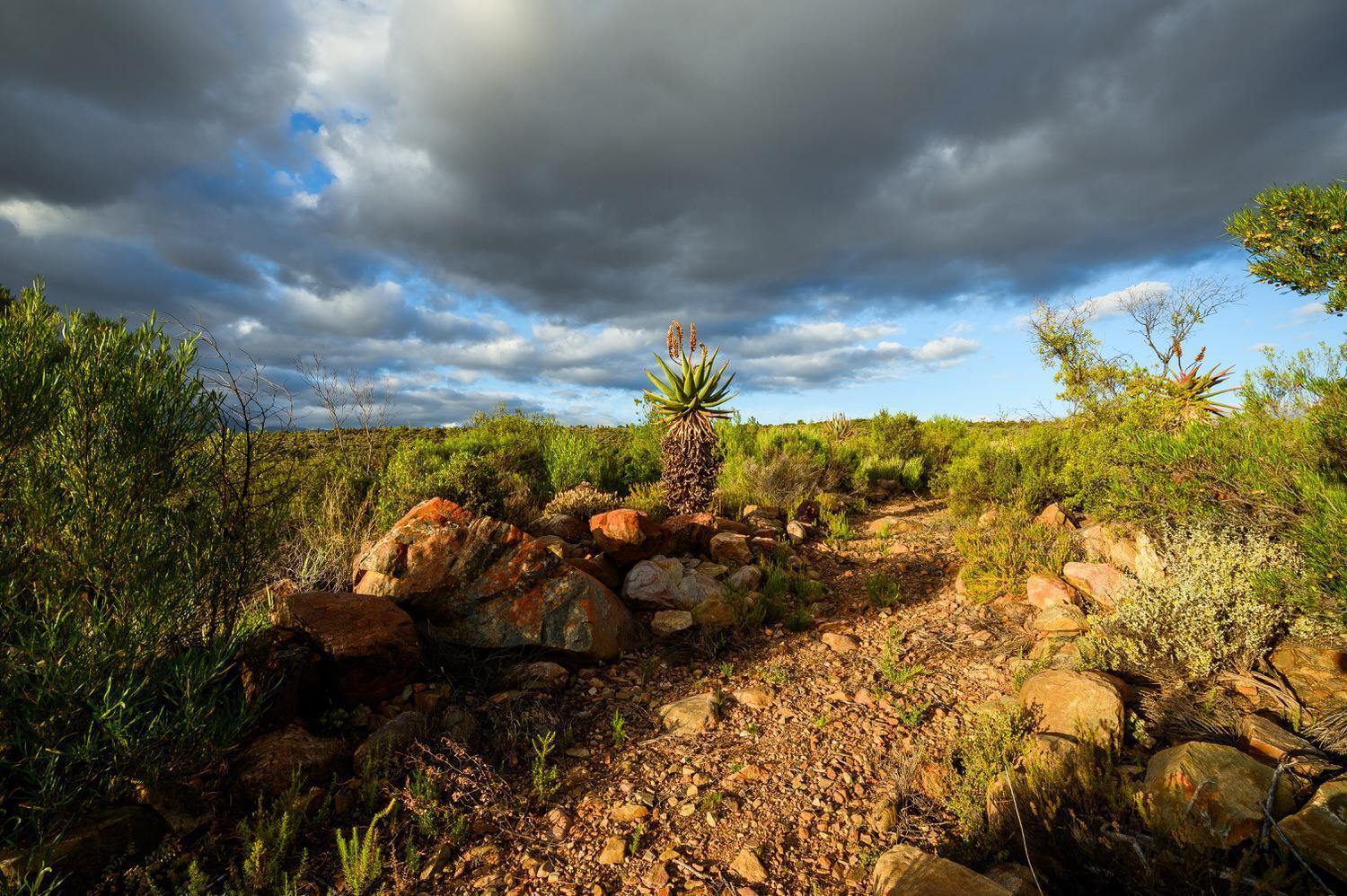 Bed and Breakfast Le Petit Karoo Ranch Oudtshoorn Exterior foto