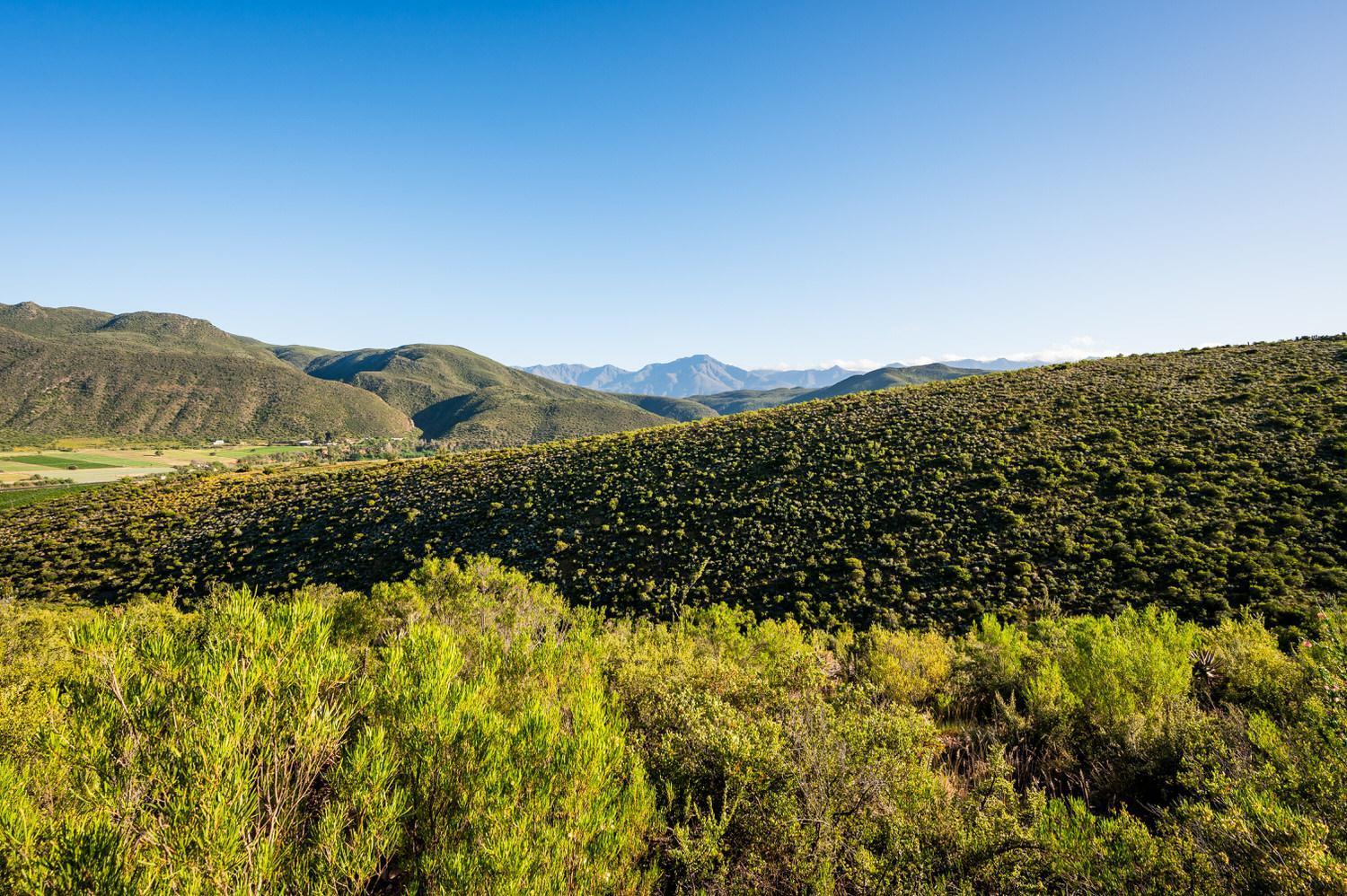 Bed and Breakfast Le Petit Karoo Ranch Oudtshoorn Exterior foto
