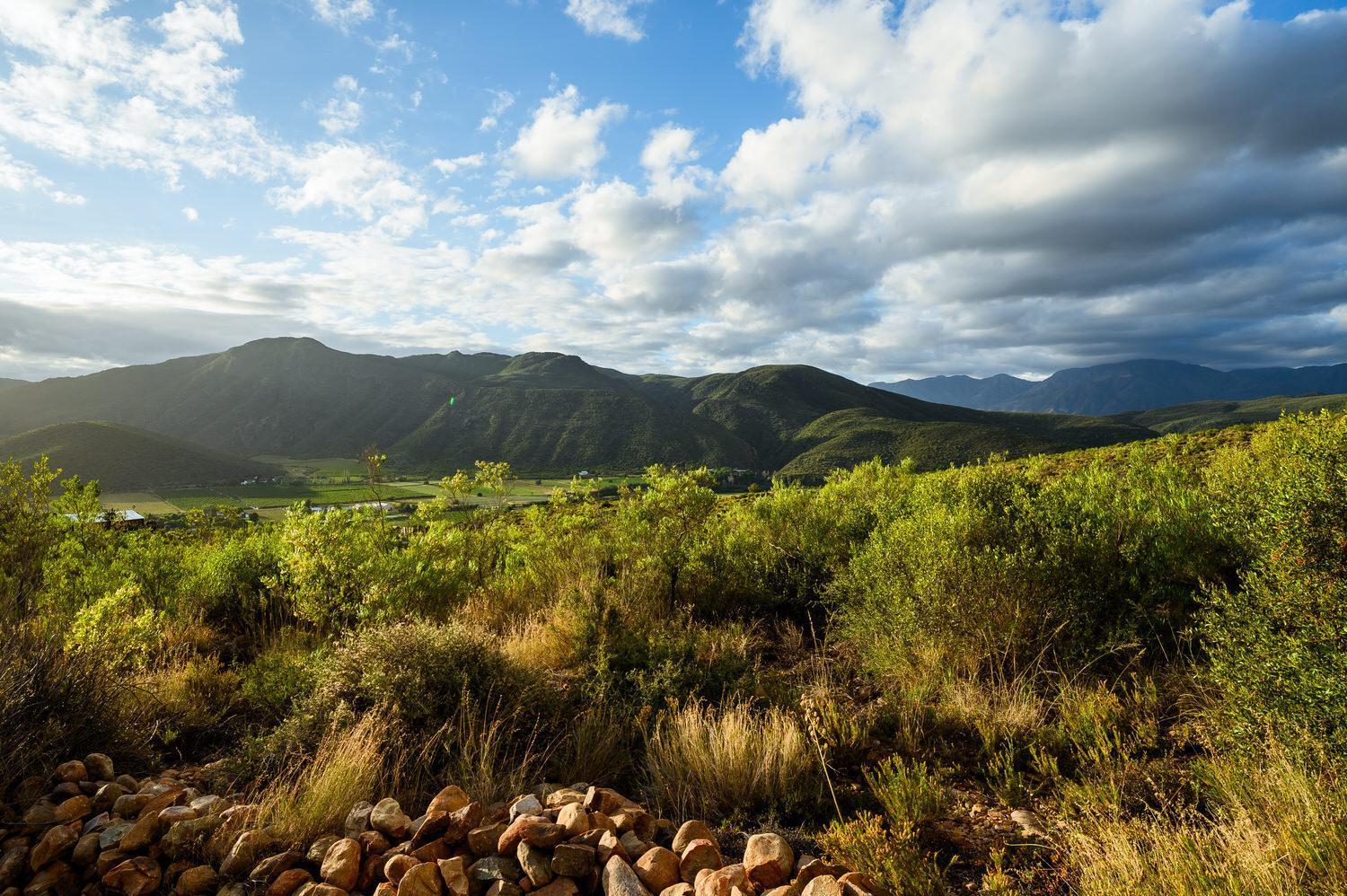 Bed and Breakfast Le Petit Karoo Ranch Oudtshoorn Exterior foto